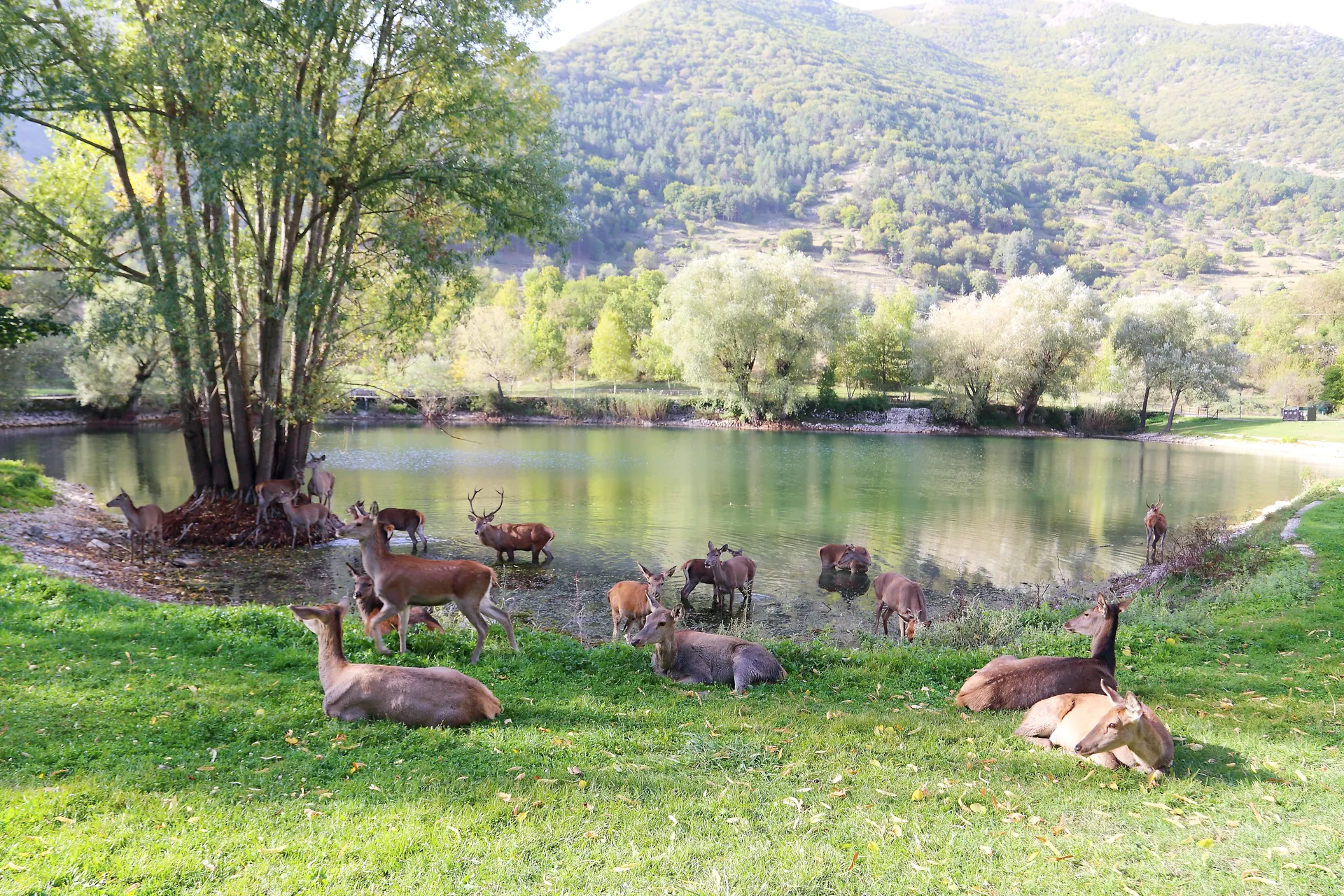 Vista del Lago Pio a Villalago